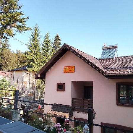 Casa Nicolas Busteni Exterior photo